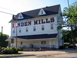 Linden Mills