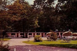 Fawn Motel Roscommon