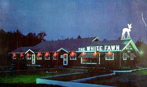 The White Fawn Bar Houghton Lake