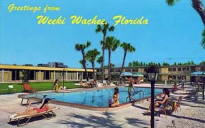 Weeki Wachee Just For Fun!