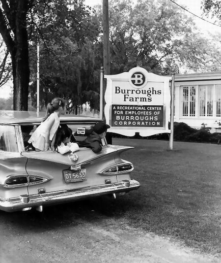 Gate At Burroughs Farms In Brighton 1959 From Jim Fox