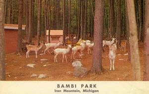 Bambi Park Iron Mountain