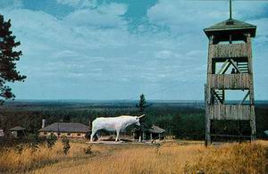 Paul Bunyan Lookout Tower Alpena